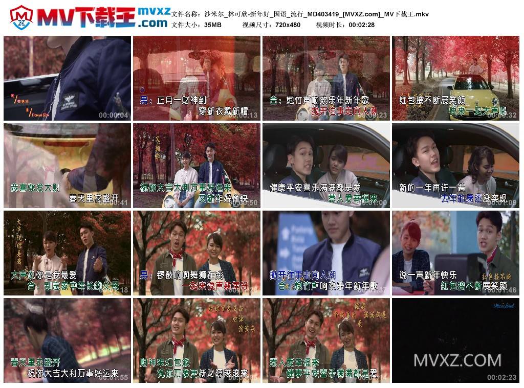 沙米尔_林可欣-新年好_国语_流行_MD403419
